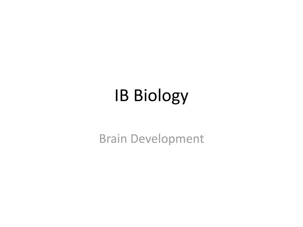 Ib Biology Brain Development. - Ppt Video Online Download