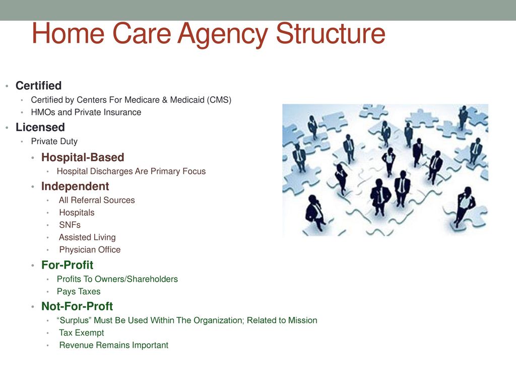 Home Care Agency Organizational Chart