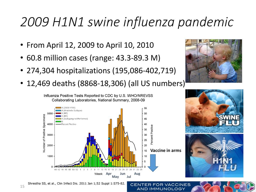 2009 H1N1 swine influenza pandemic