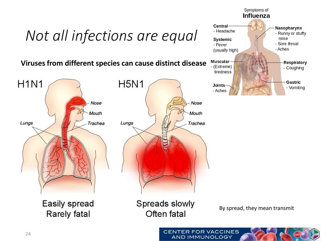 Not all infections are equal