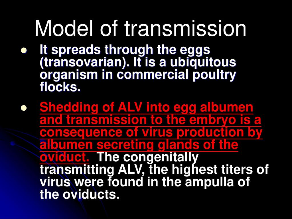 Model of transmission It spreads through the eggs (transovarian). It is a ubiquitous organism in commercial poultry flocks.