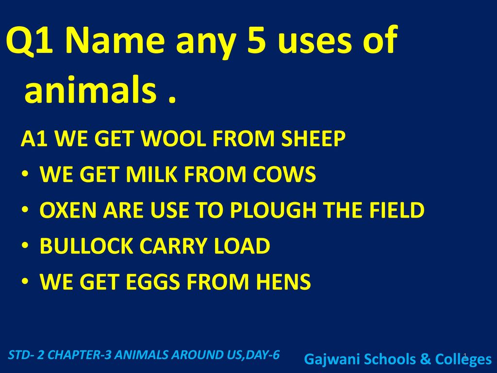 Q1 Name any 5 uses of animals . - ppt download
