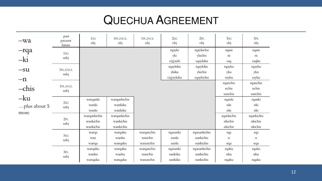 Quechua Agreement –wa –rqa –ki –su –n –chis –ku past present future