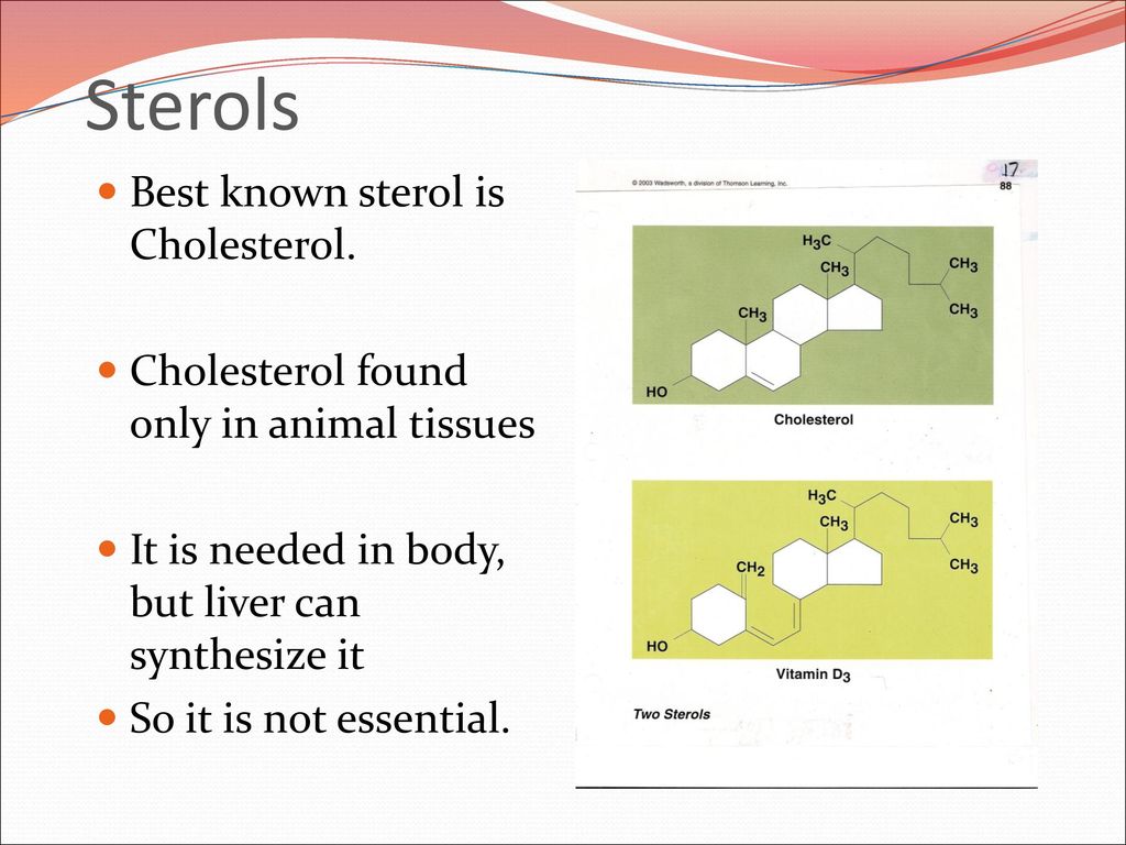 LIPIDS: FATS, PHOSPHOLIPIDS, & STEROLS - ppt download