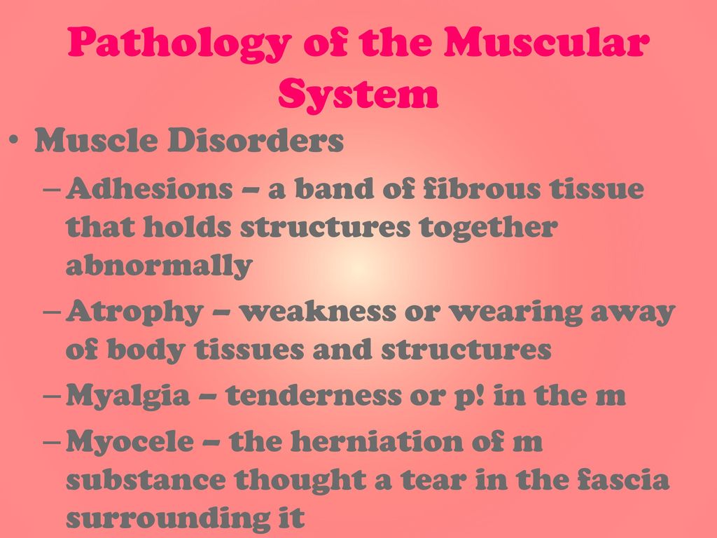Pathology of the Muscular System