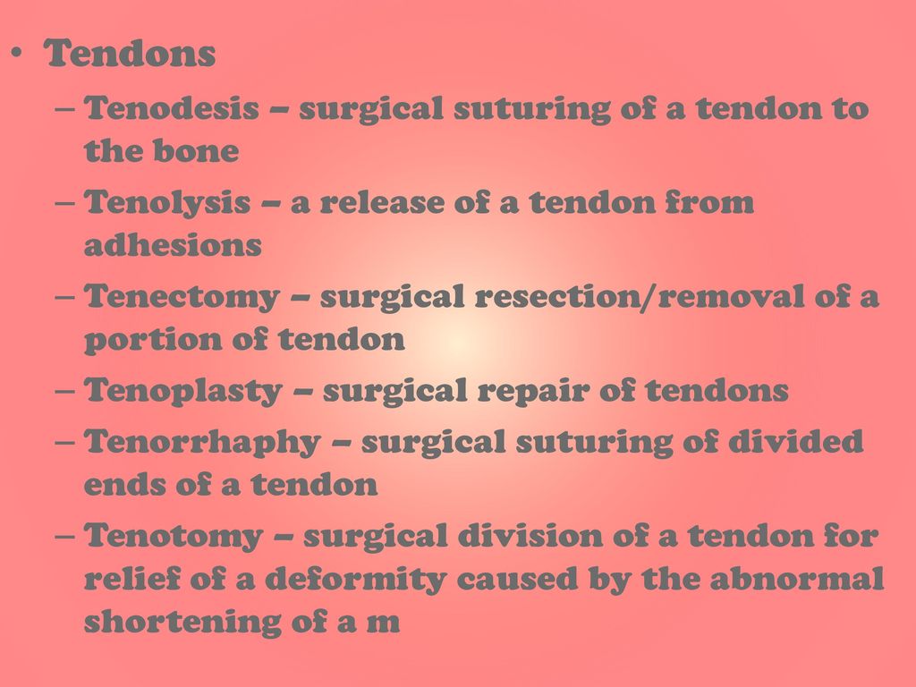 Tendons Tenodesis – surgical suturing of a tendon to the bone