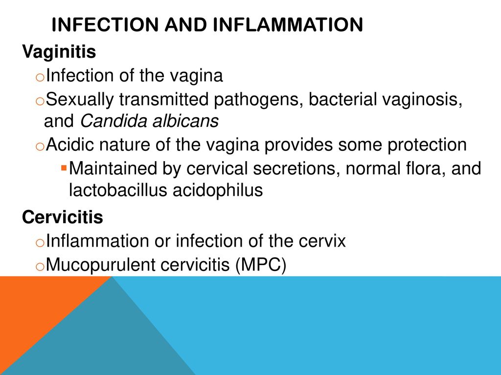 Reproductive pathologies Dr. Gary Mumaugh UNW St. Paul - ppt video ...