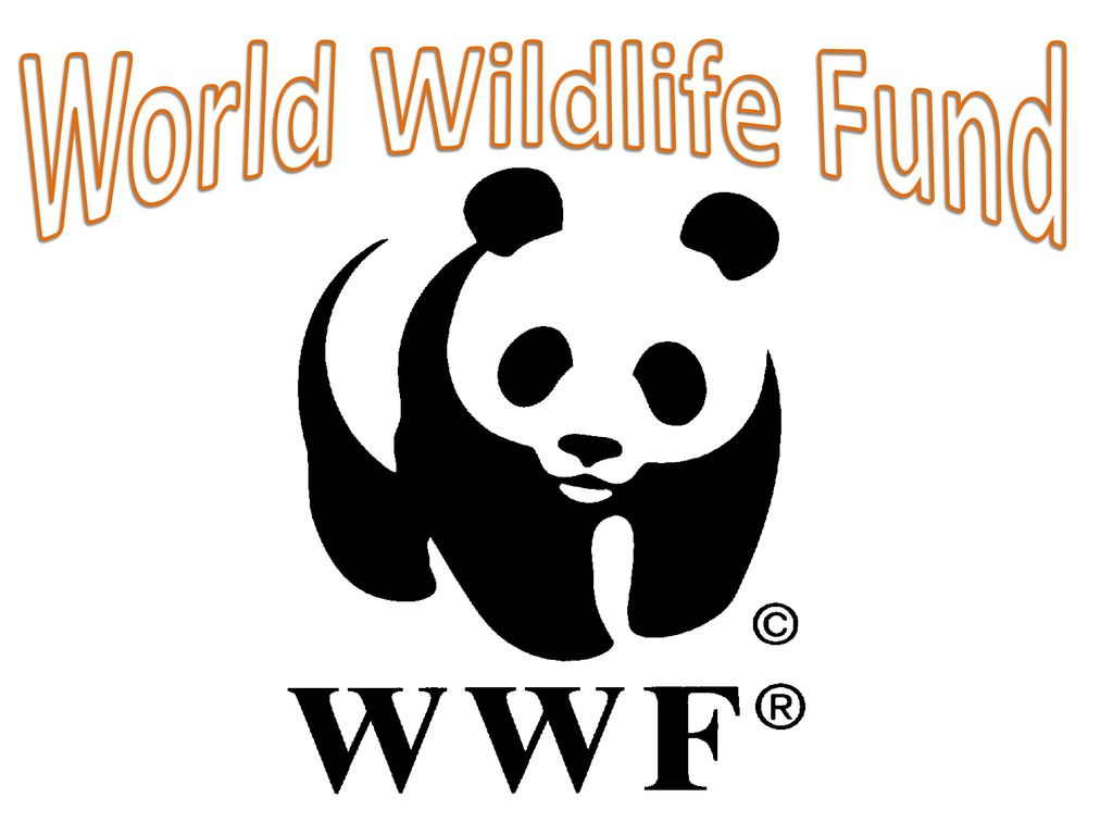 The world wildlife fund is. Всемирный фонд дикой природы WWF России. ВВФ фонд дикой природы. Эмблема WWF Всемирного фонда дикой природы. Панда WWF.