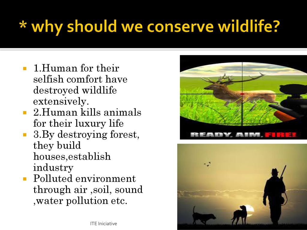 steps to conserve wildlife