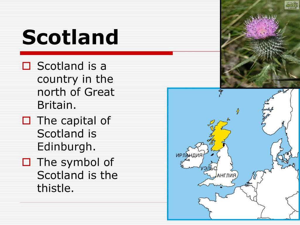 Symbols Of Scotland