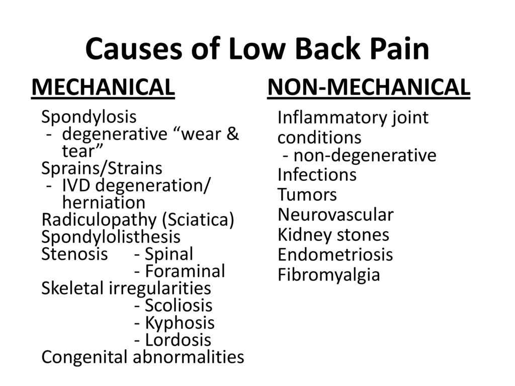 Therapeutic Exercises for Low Back Pain: An Overview - ppt video online  download
