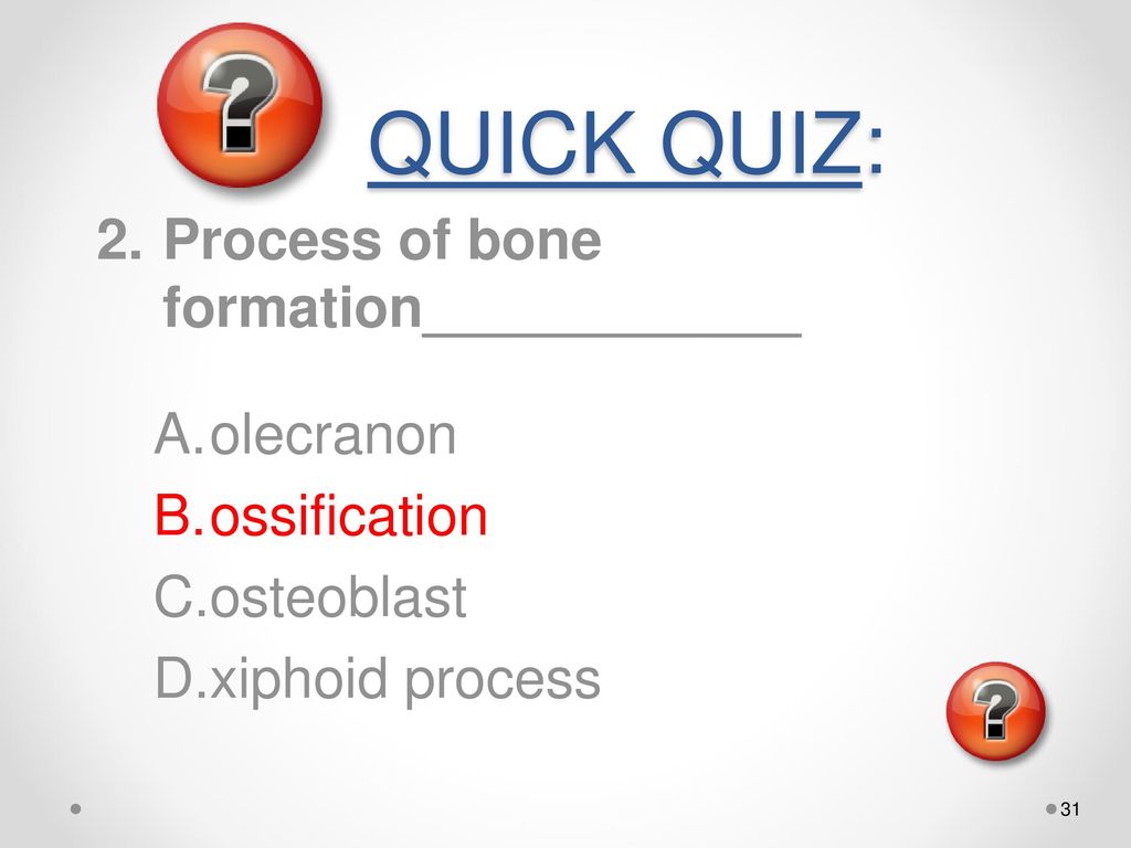 Muscles Intro Ppt Download