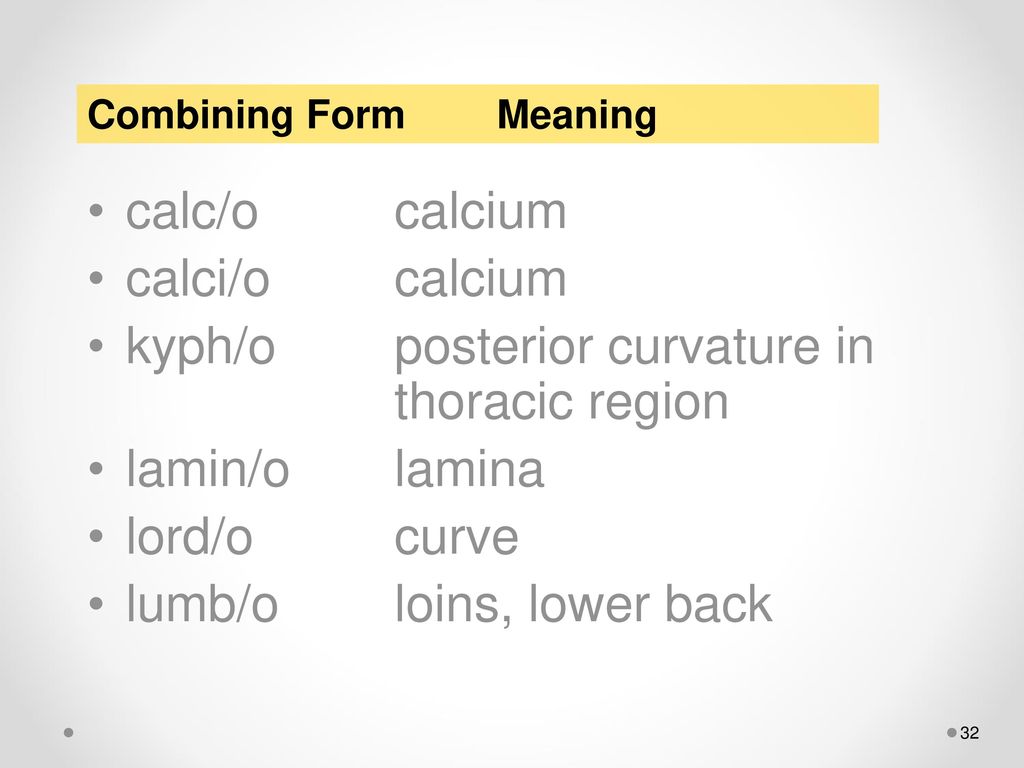 Muscles Intro Ppt Download