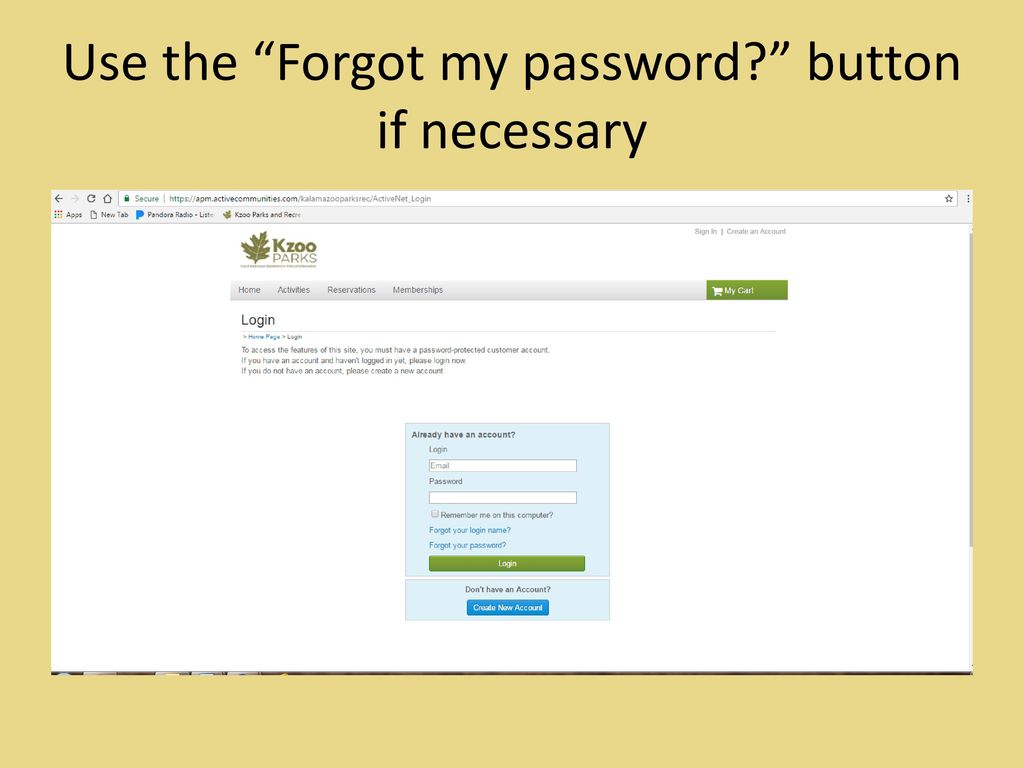 Use the Forgot my password button if necessary
