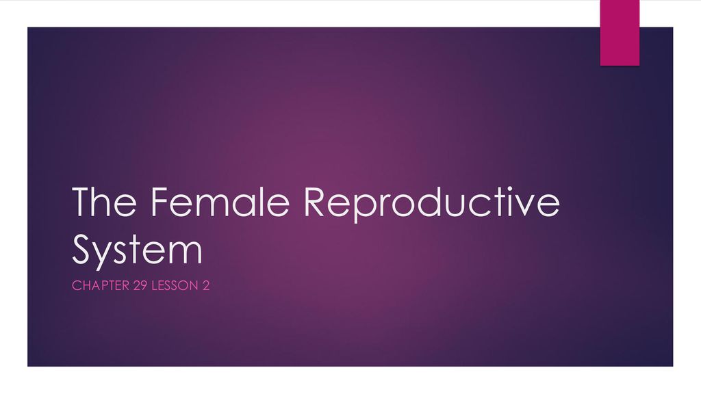 Male Reproductive System - Ppt Download