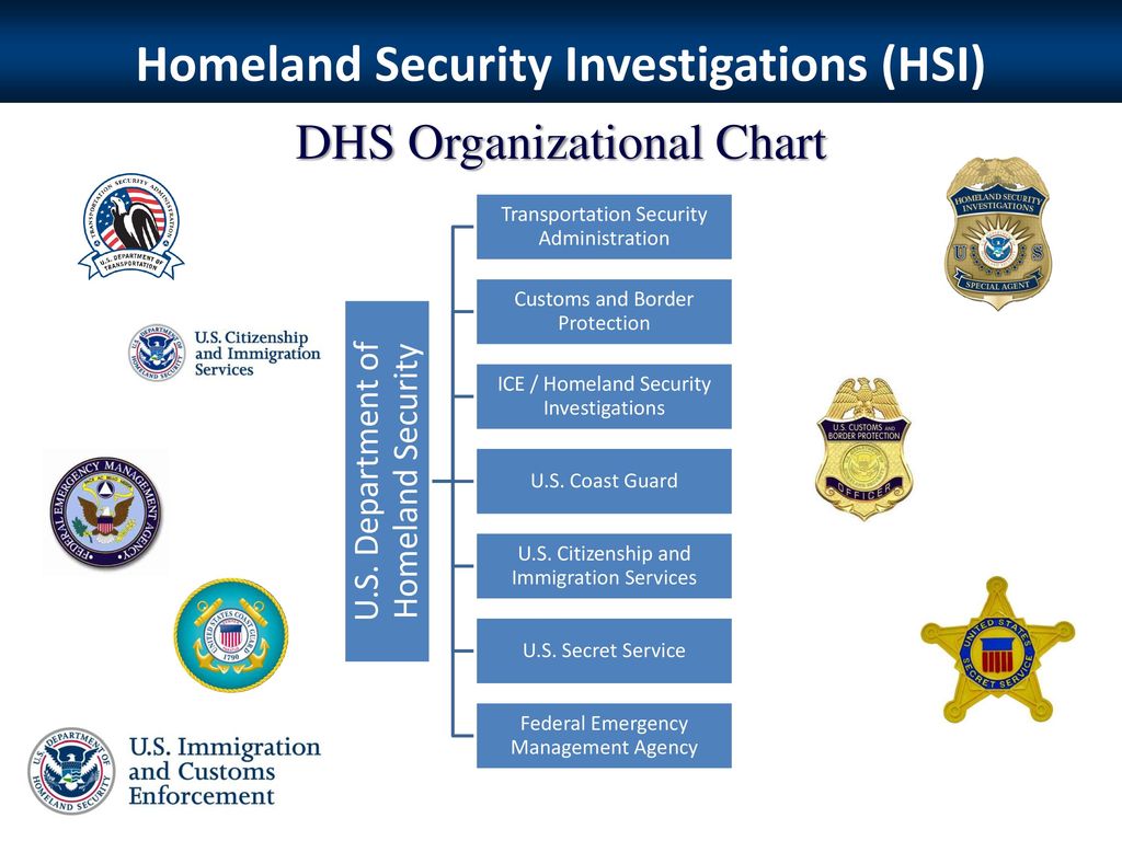 Cbp Office Of Administration Org Chart