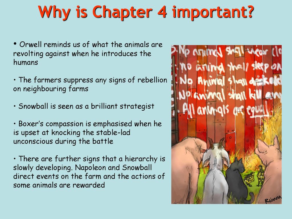 Why+is+Chapter+4+important