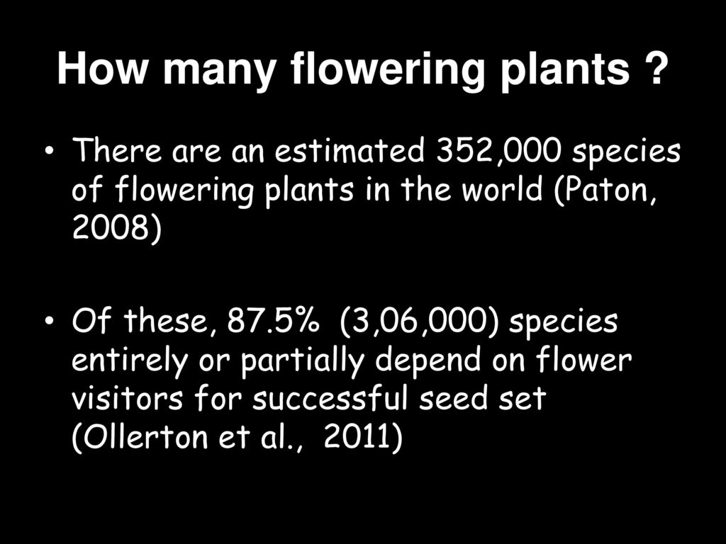 Conserving Pollinator Populations In The Era Of Neonicotinoids Ppt