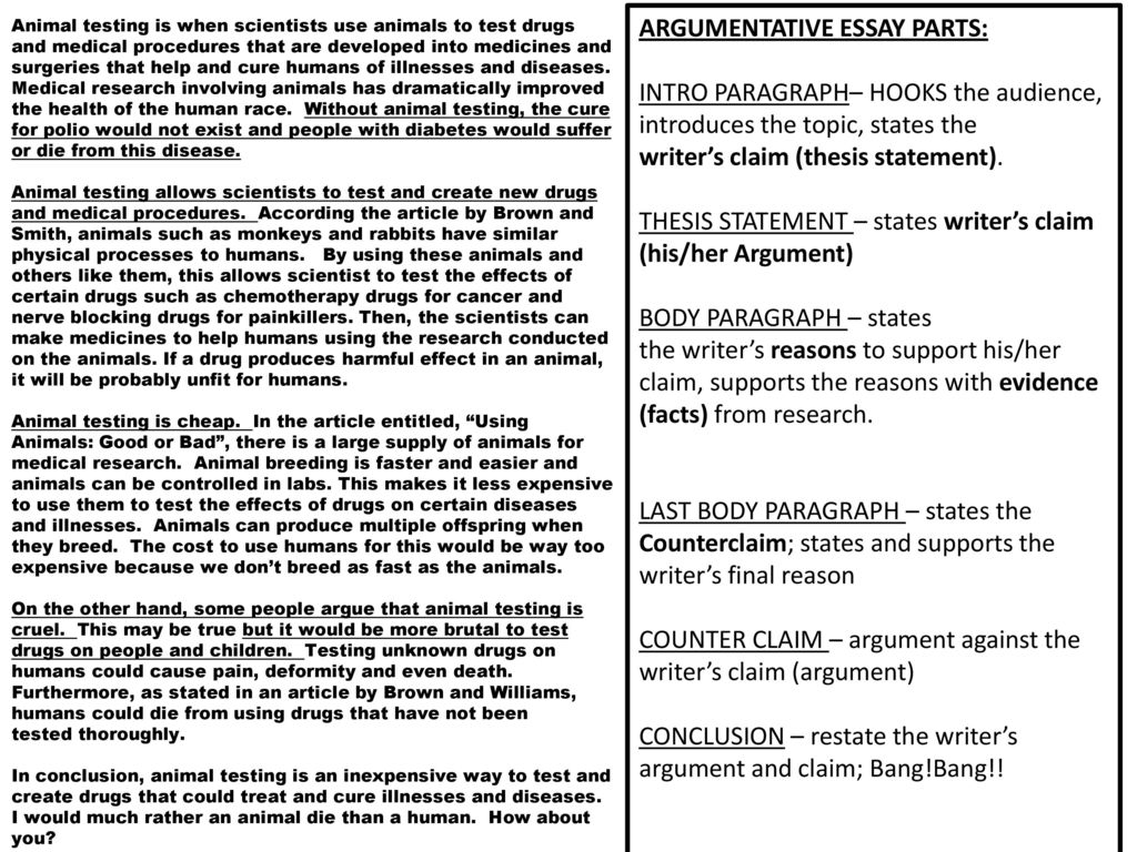 Animal essay. Animal Testing for and against. Animal Testing should be banned. Argumentative essay Samples.