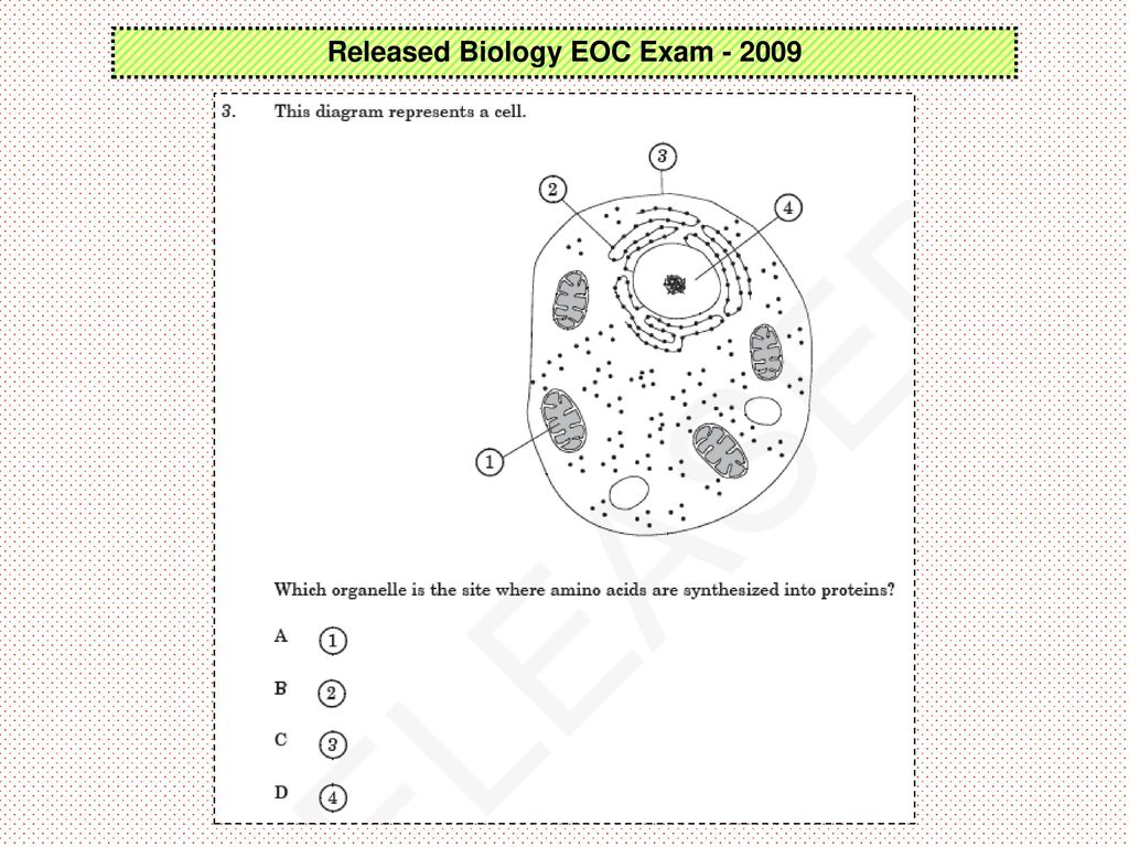 Released Biology Eoc Exam Ppt Download