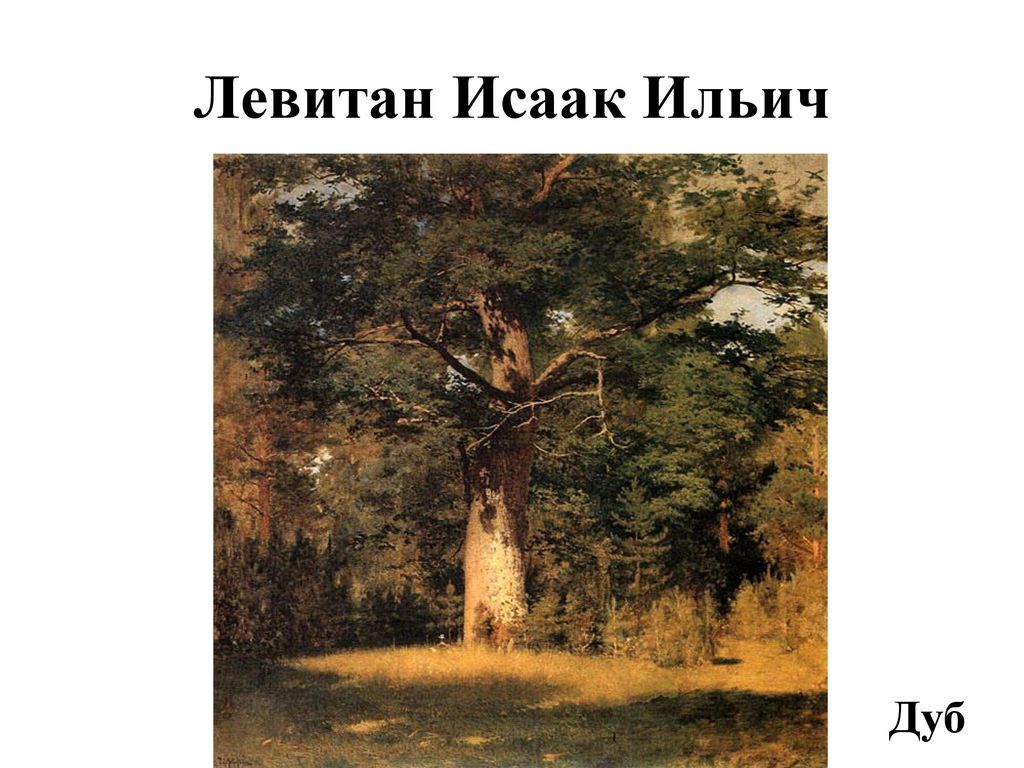 Дуб стоял. Исаак Ильич Левитан дуб. Исаак Ильич Левитан дуб 1880. Картина Левитана дуб. Исаак Левитан дуб.