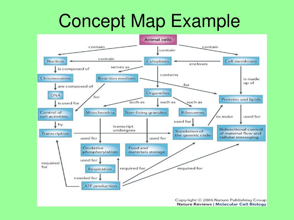 Concept Map Example Ppt Download