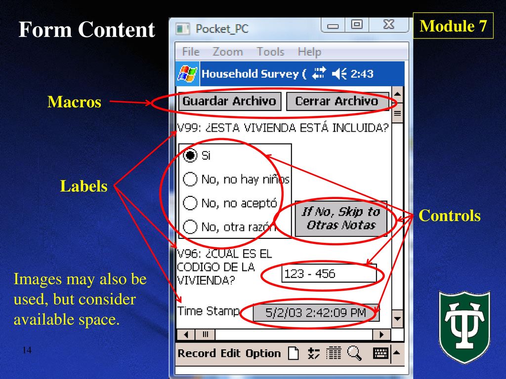 Form Content Module 7 Macros Labels Controls