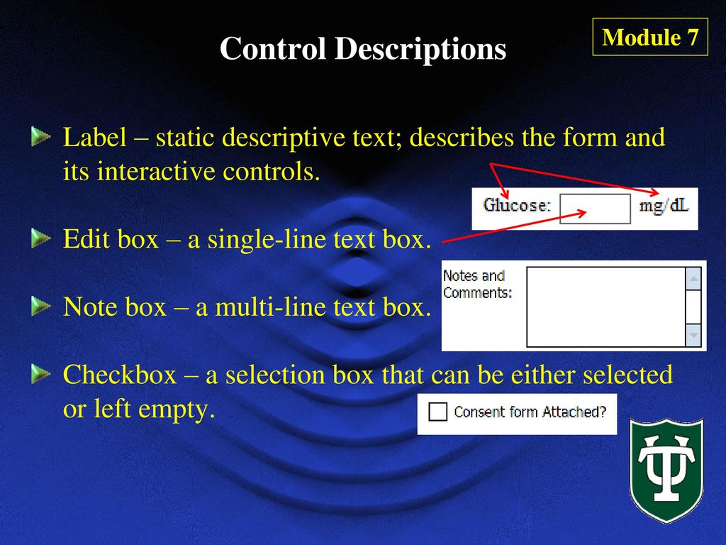 Module 7 Control Descriptions. Label – static descriptive text; describes the form and its interactive controls.