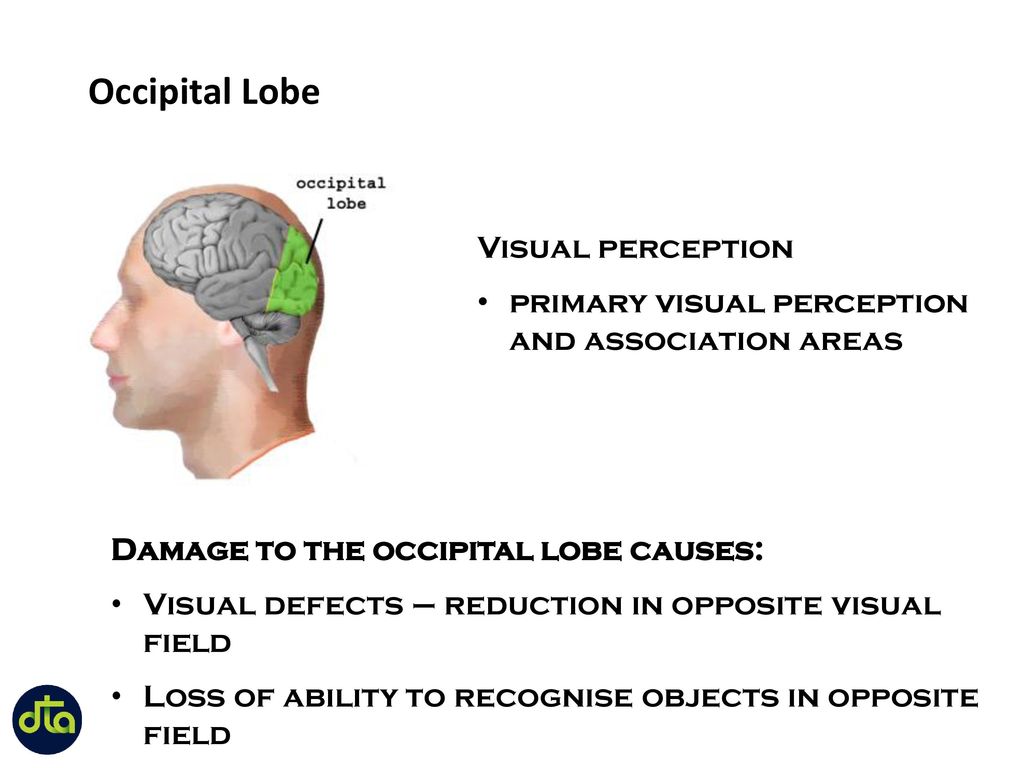 Advancing practice in the care of people with dementia - ppt download