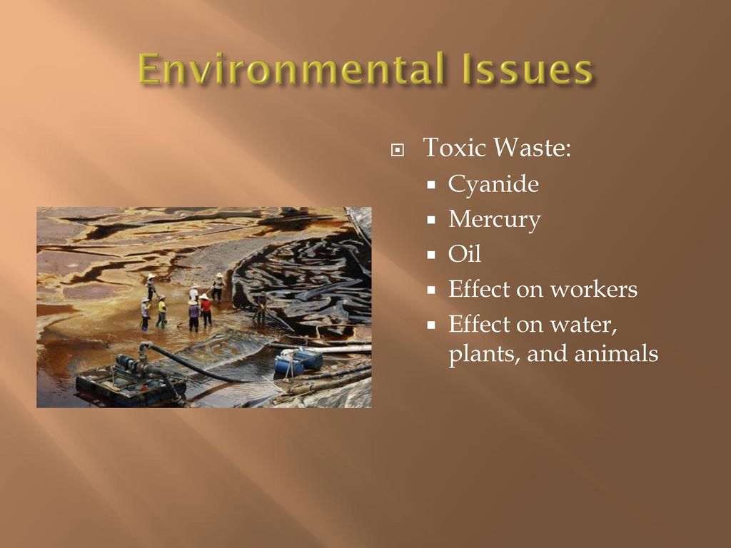 Environmental Issues Toxic Waste: Cyanide Mercury Oil