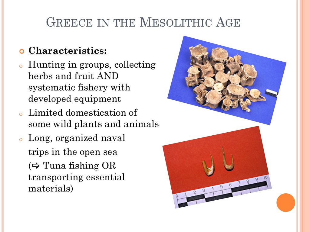 features of mesolithic age
