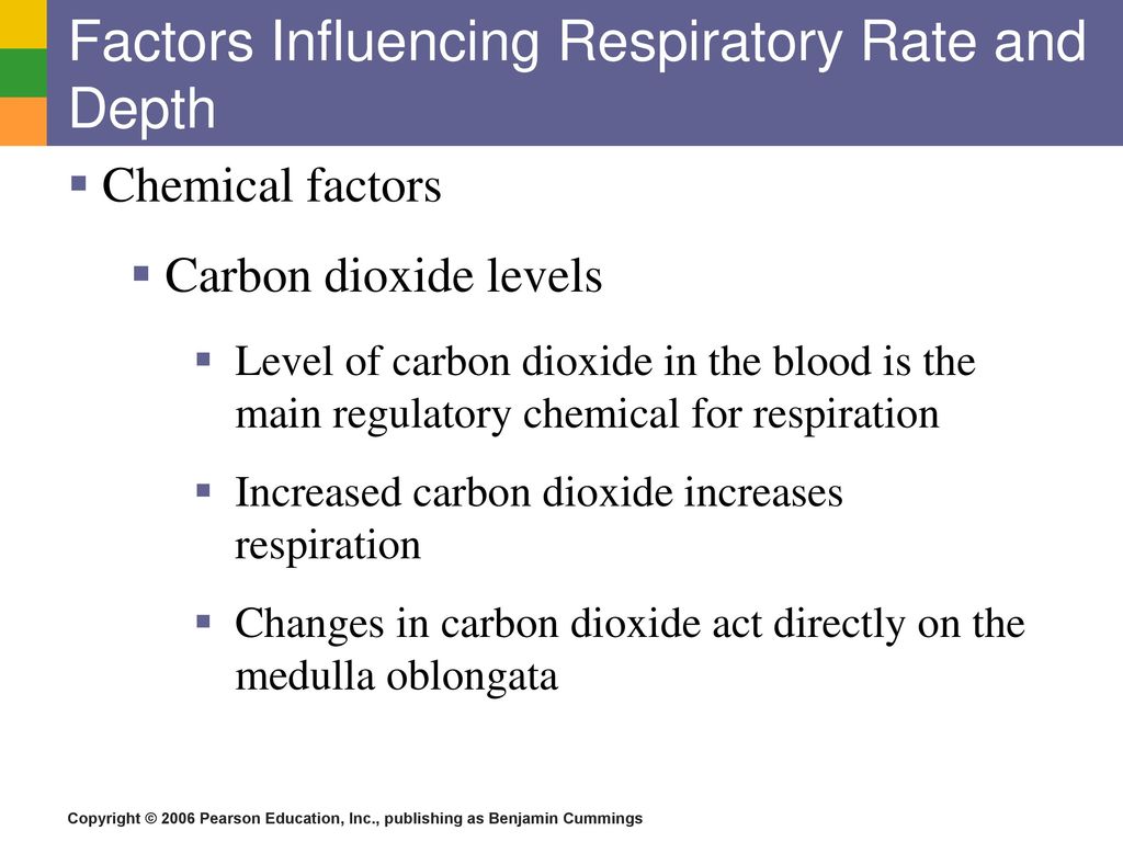 The Respiratory System - ppt download