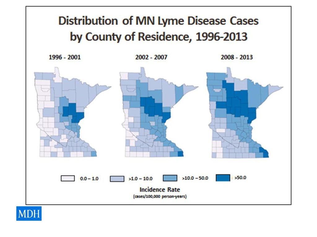 Ticks and Tickborne Diseases of Minnesota ppt download