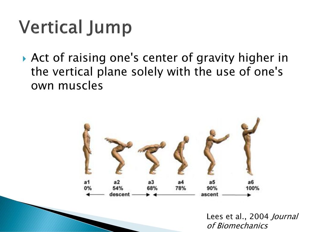 Vertical Jump – Human Kinetics