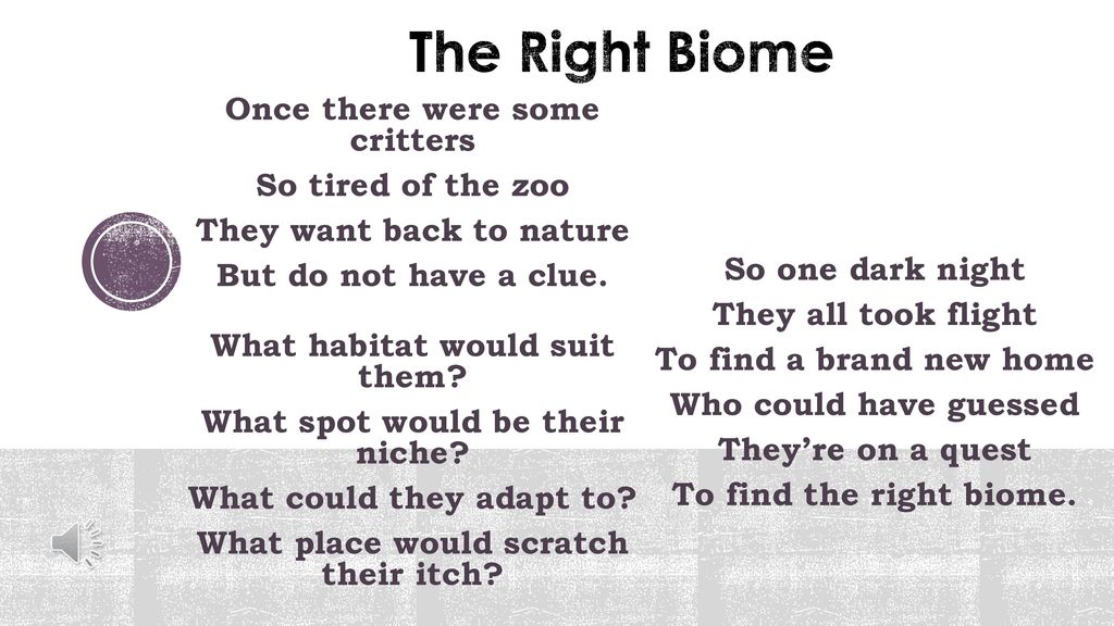 Biomes: Animals and Plants in Their Habitats ppt video online download