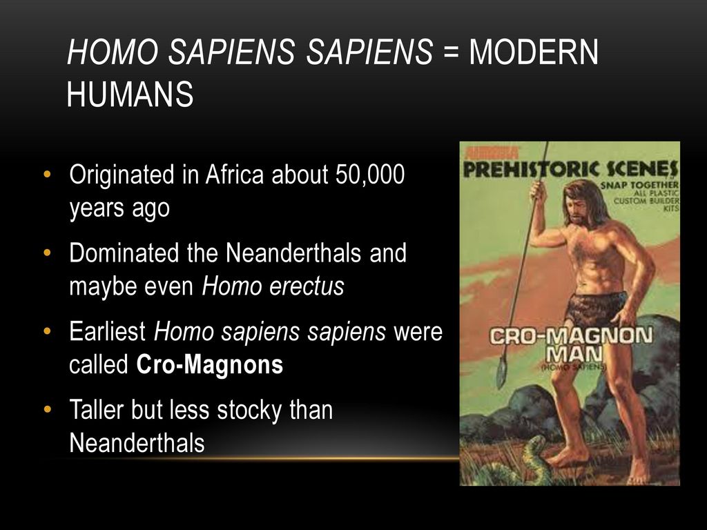 Homo Sapiens Sapiens = Modern Humans