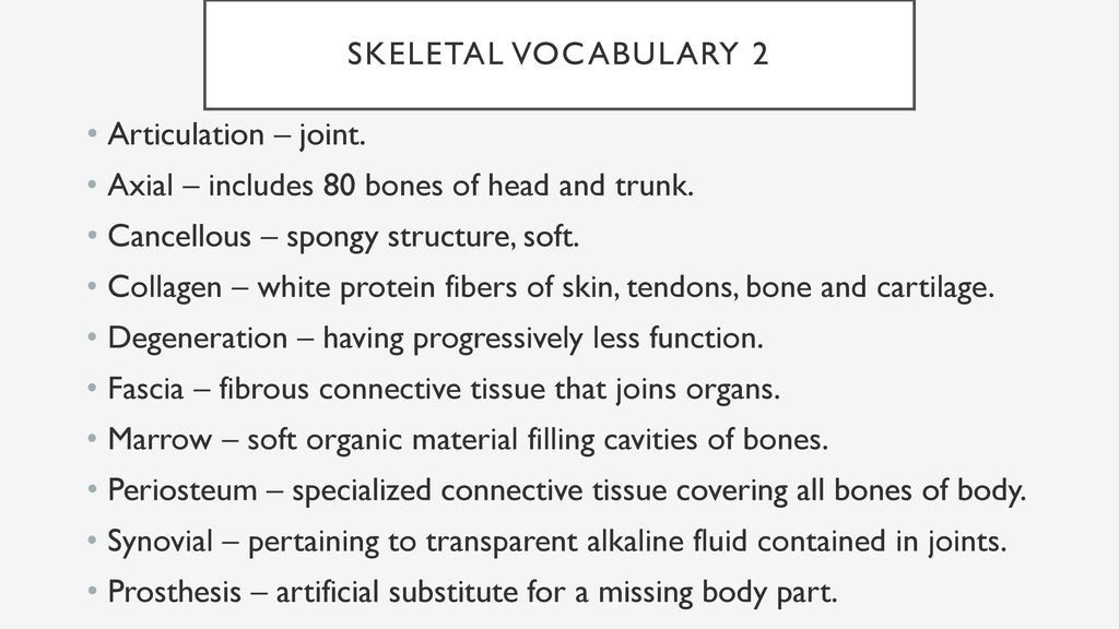SM1 Semester 2 Vocabulary Review - ppt download