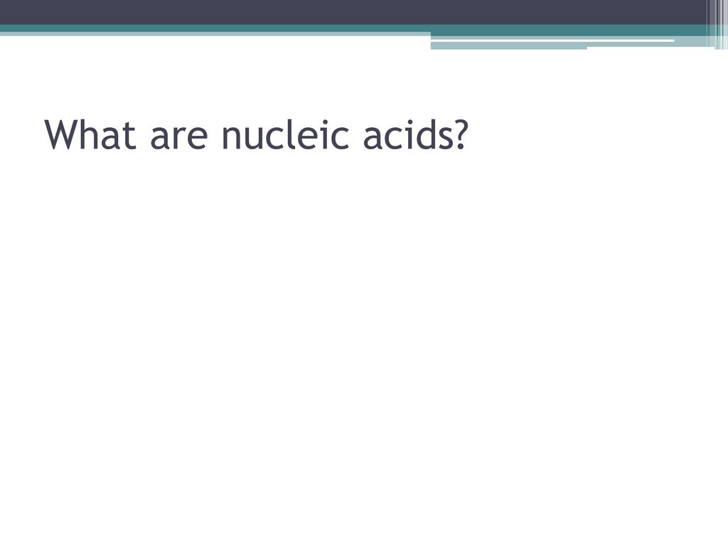 What are nucleic acids