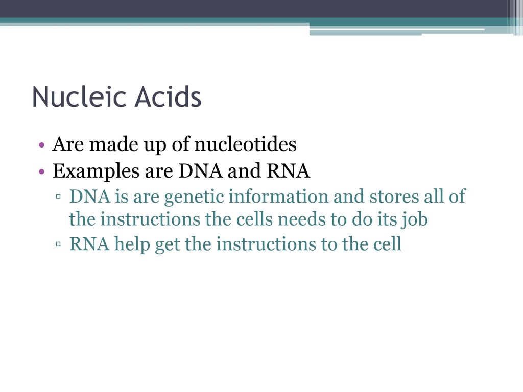 Nucleic Acids Are made up of nucleotides Examples are DNA and RNA