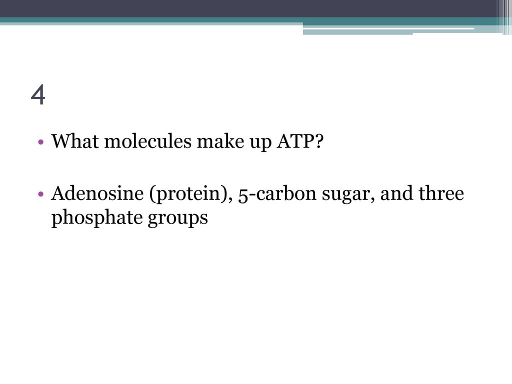 4 What molecules make up ATP