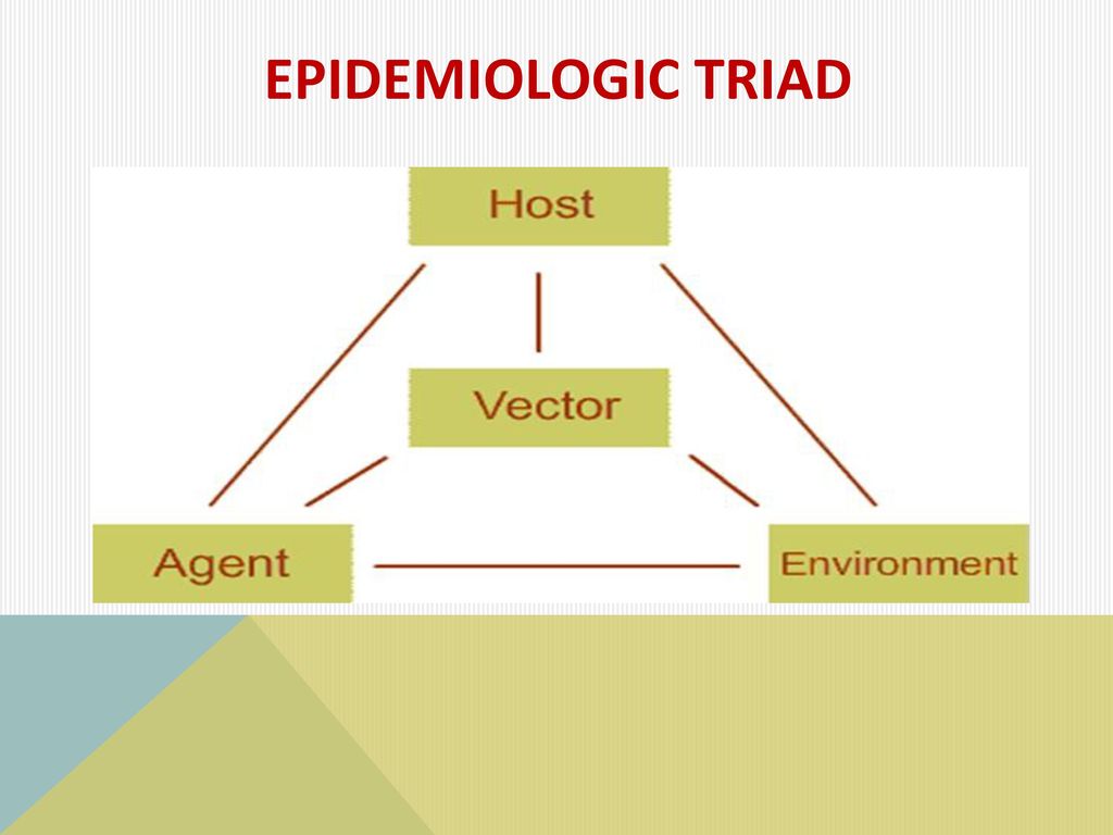 💣 Agent host and environment in epidemiology. Epidemiology Midterm  Flashcards. 2022-10-16