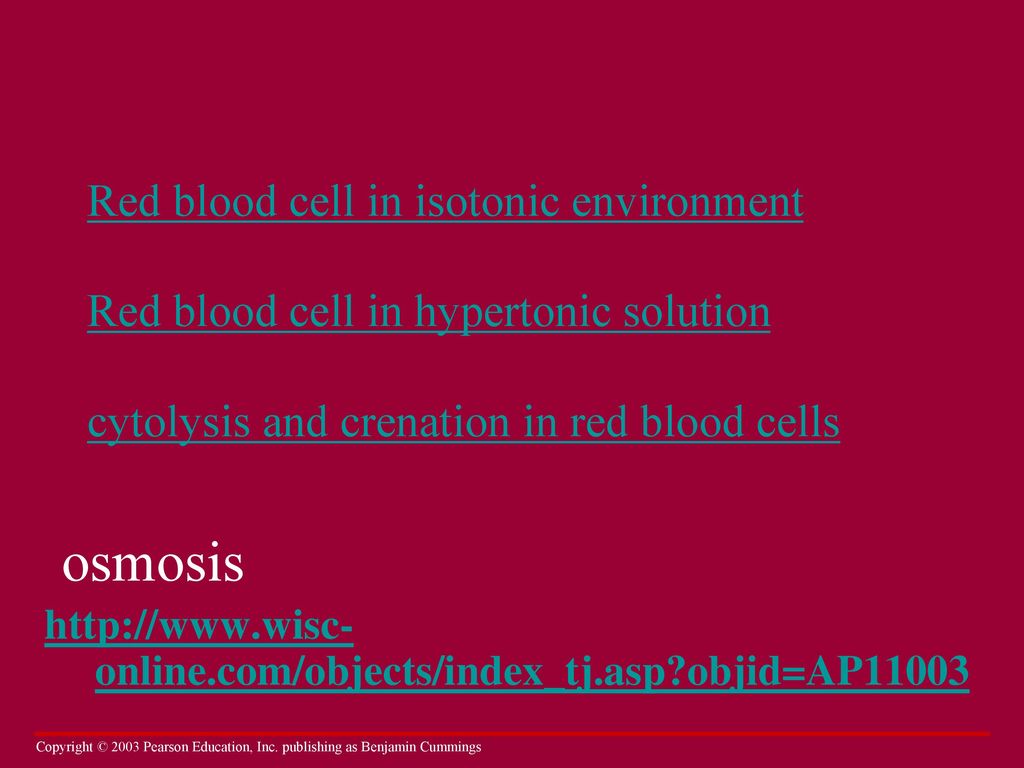 wisc online white blood cells