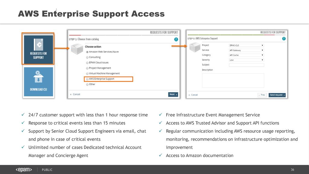 AWS Enterprise Support Access