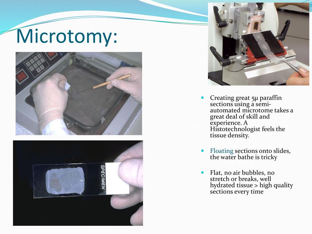 Microtomy: