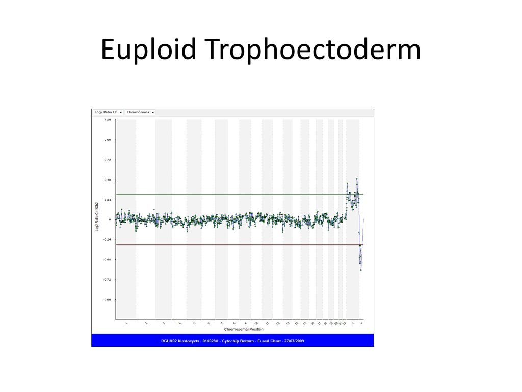 Euploid Trophoectoderm