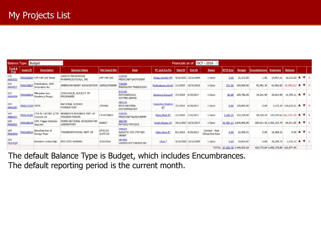 My Projects List Column headings allow users to sort data ascending or descending. The default Balance Type is Budget, which includes Encumbrances.