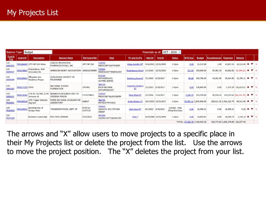 My Projects List