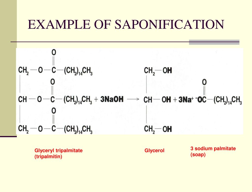 Триолеат глицерина вступает в реакцию. Saponification. Триолеат глицерина. Saponification Reaction. Пальмитат глицерина.