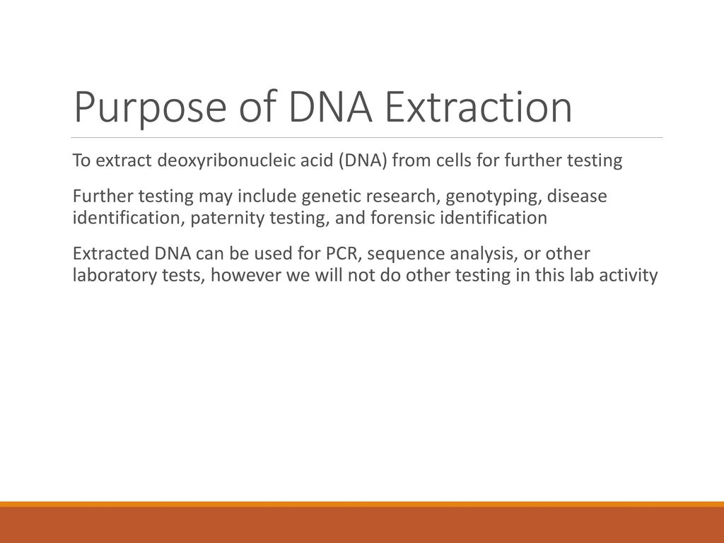 DNA Extraction Lab Activity - ppt download
