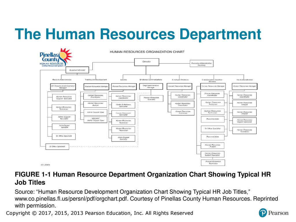 Human Resource Department Organizational Chart